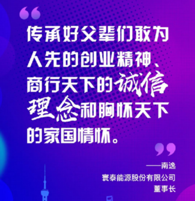 寰泰能源股份有限公司董事長(zhǎng)南逸