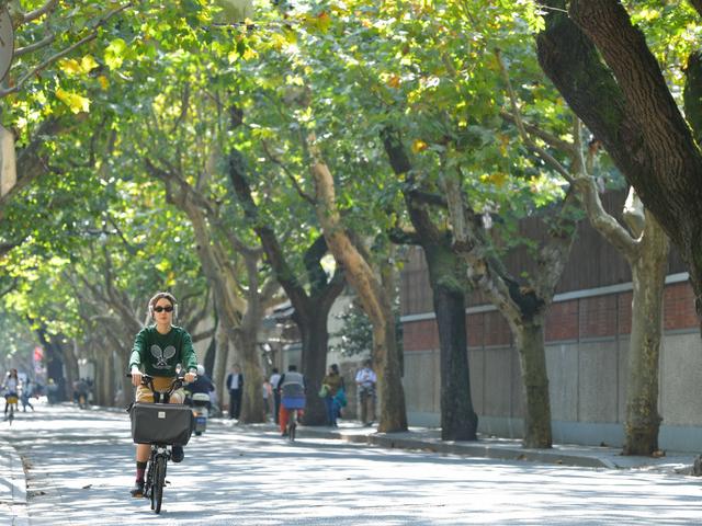 上海“花園弄堂”新生記